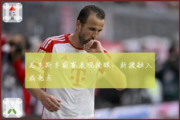 尼克斯季前赛表现抢眼，新援融入成亮点