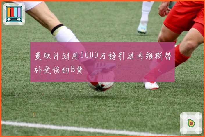 曼联计划用1000万镑引进内维斯替补受伤的B费