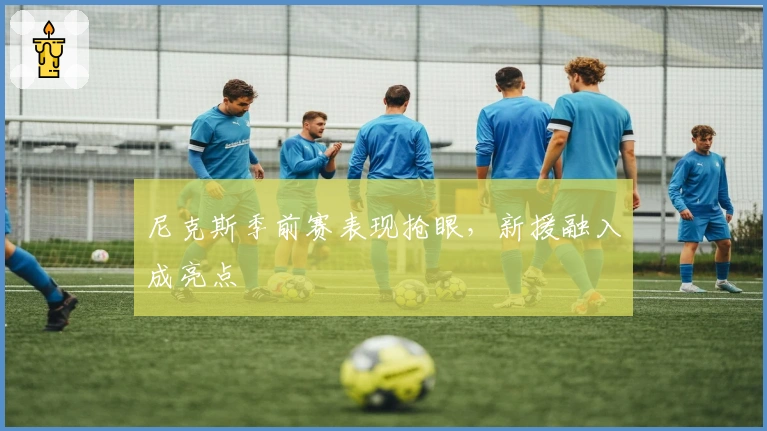 尼克斯季前赛表现抢眼，新援融入成亮点